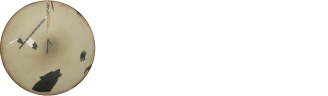 Jan Morten Korsvold